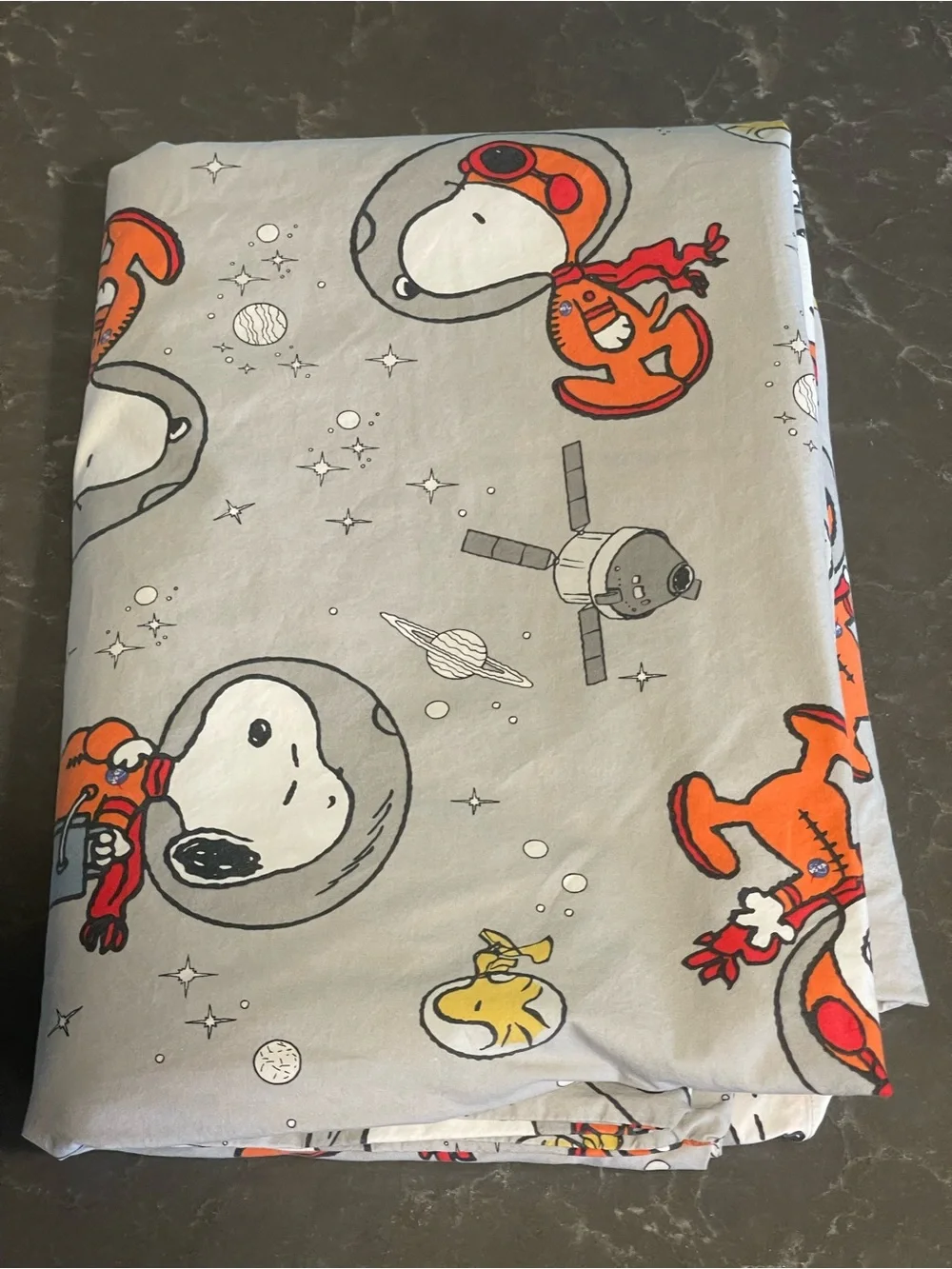 Pottery Barn Snoopy in Space Twin Duvet Cover - Picture 1 of 4